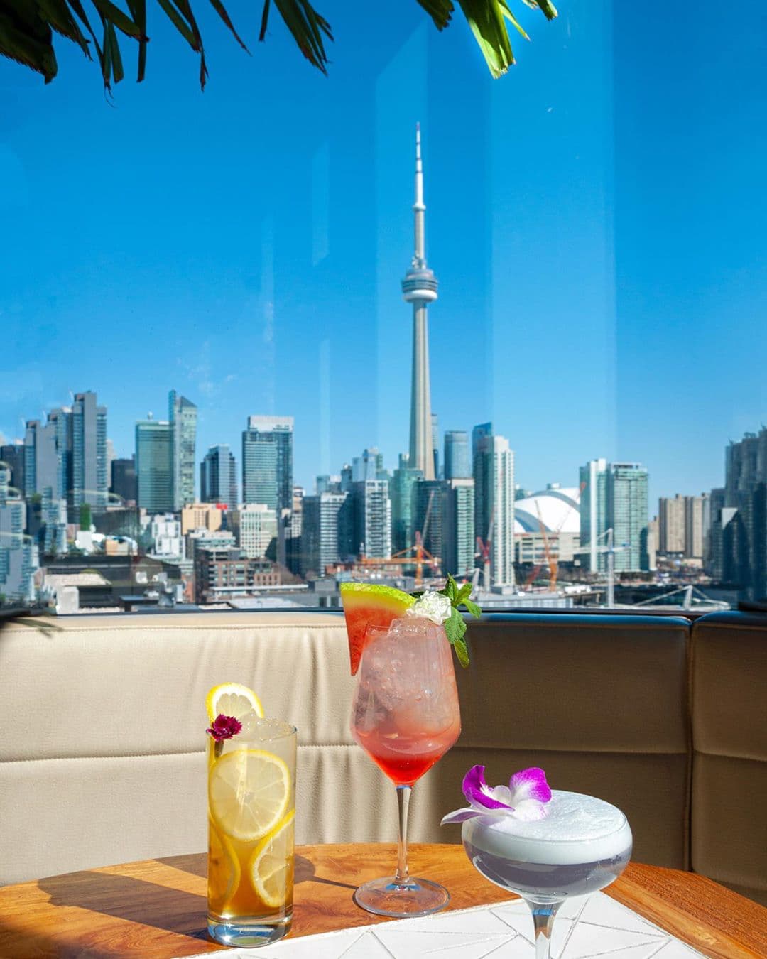 TBMOA 1st Annual Summer Social